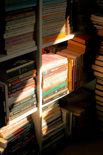 Día de las bibliotecas