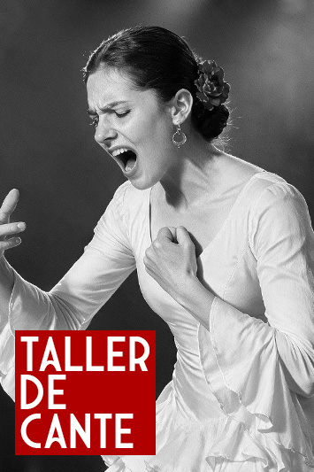Taller de cante