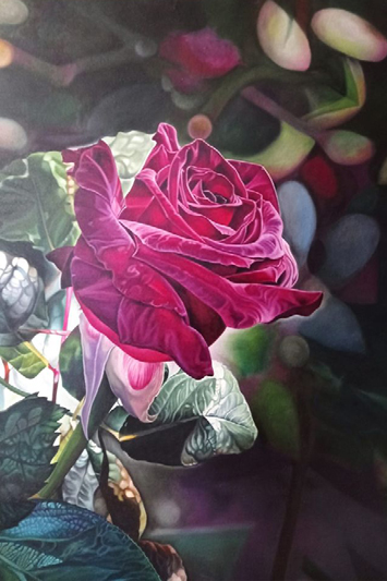 Exposiciones temporales 