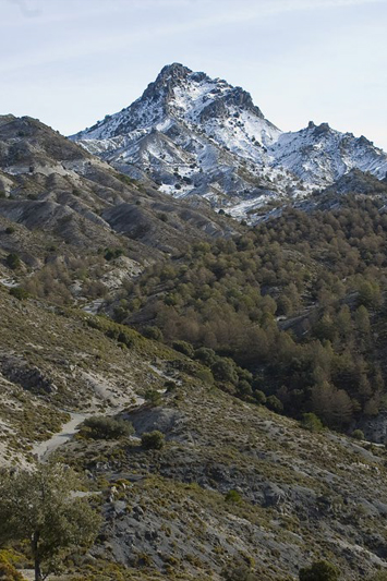 Salida de senderismo