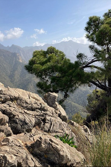 Salida de senderismo