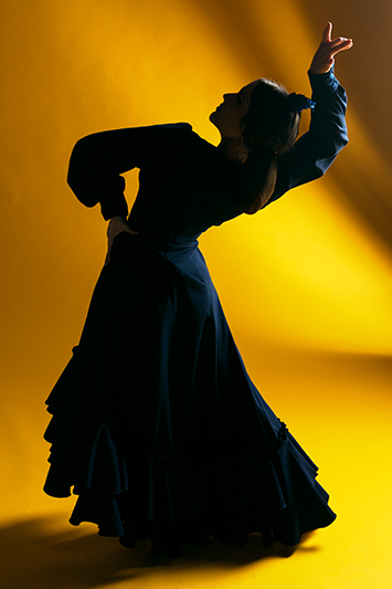 “Día Internacional del Flamenco”